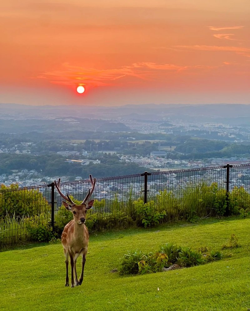 ảnh phong cảnh chill 18