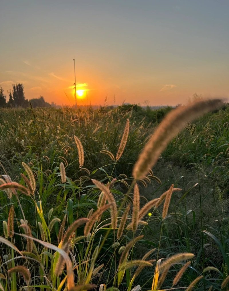 ảnh phong cảnh chill 23