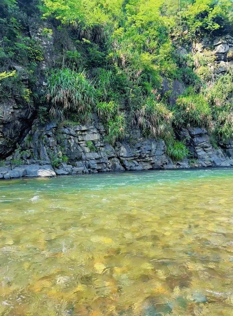 ảnh phong cảnh chill 3