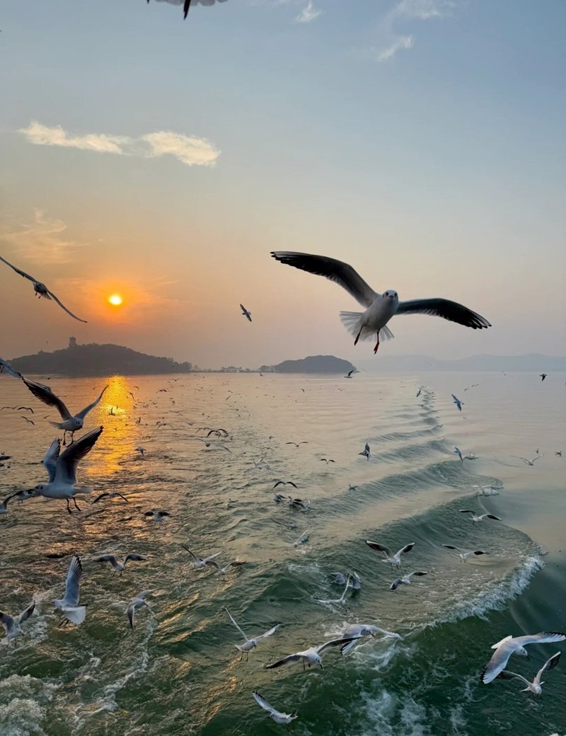 ảnh phong cảnh chill 38