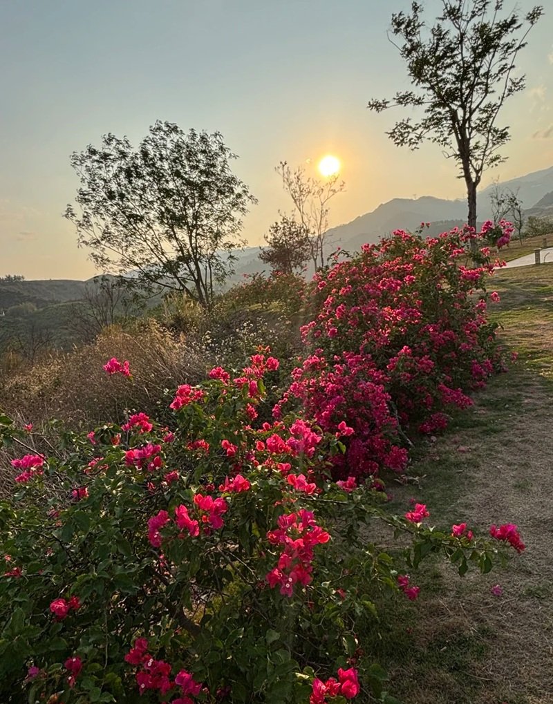 ảnh phong cảnh chill 40