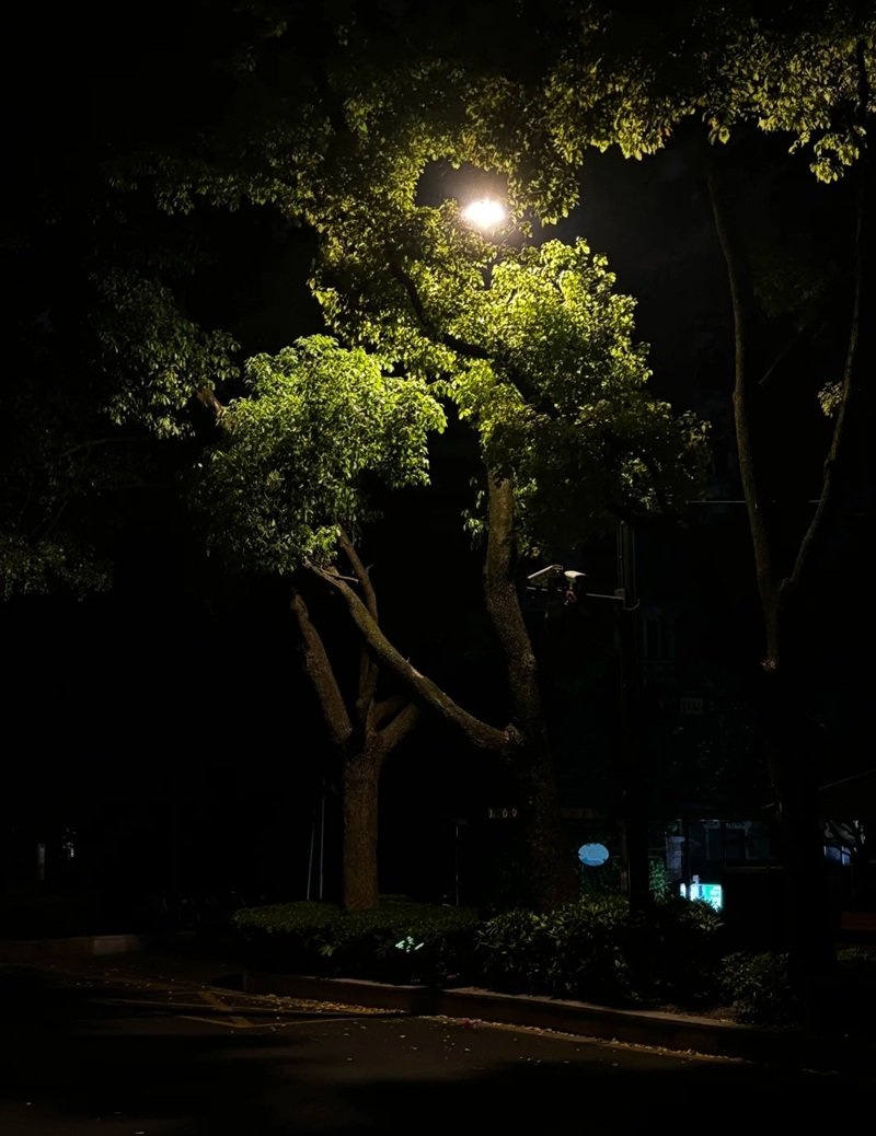 ảnh phong cảnh đêm buồn 11