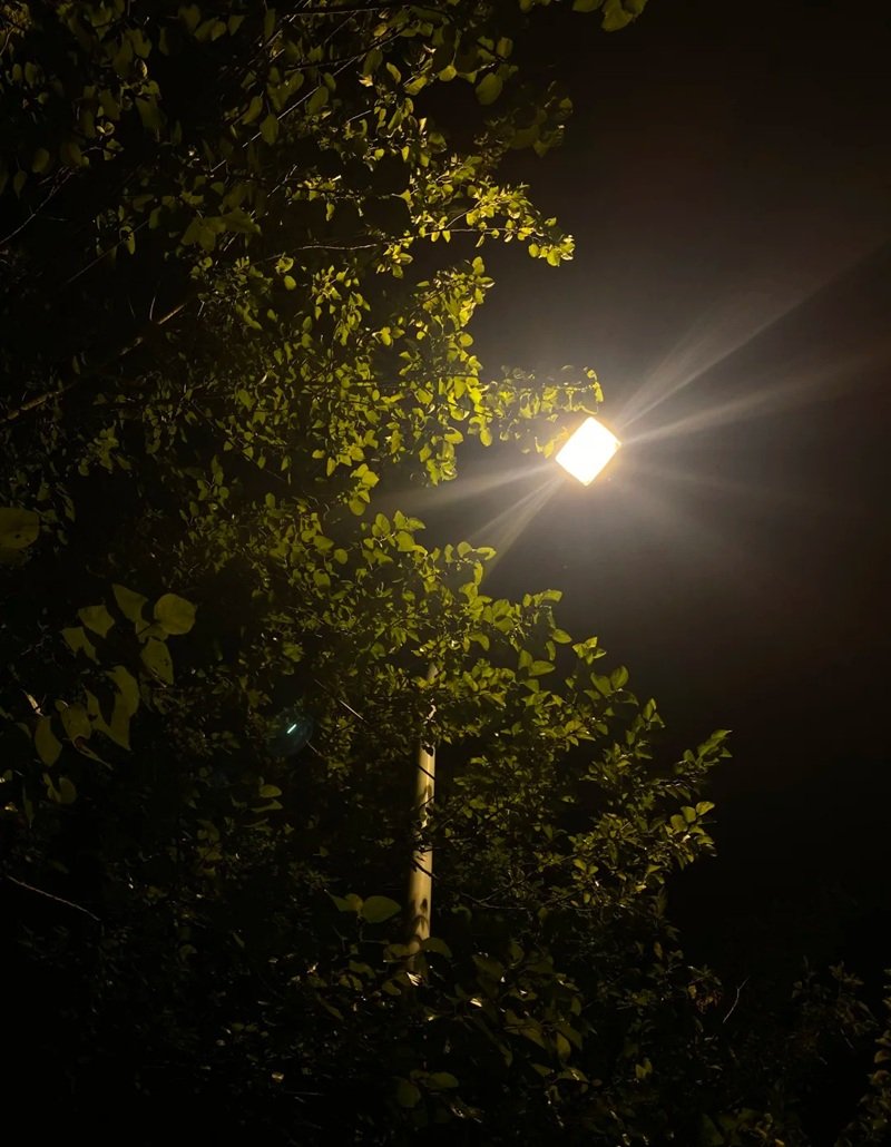 ảnh phong cảnh đêm buồn 39