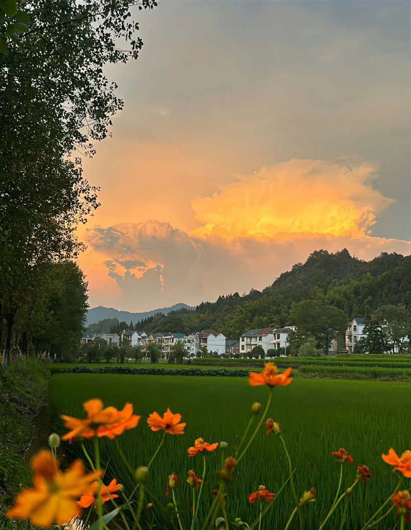 ảnh tâm trạng chill 12