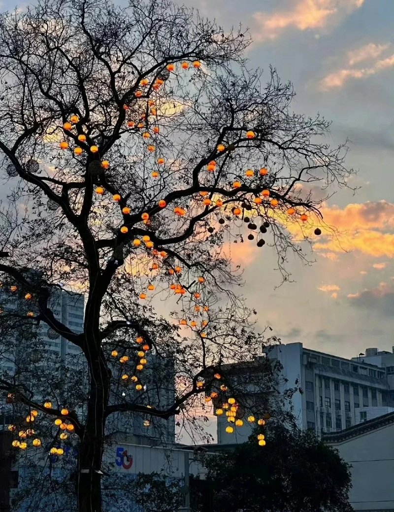 ảnh tâm trạng chill 13