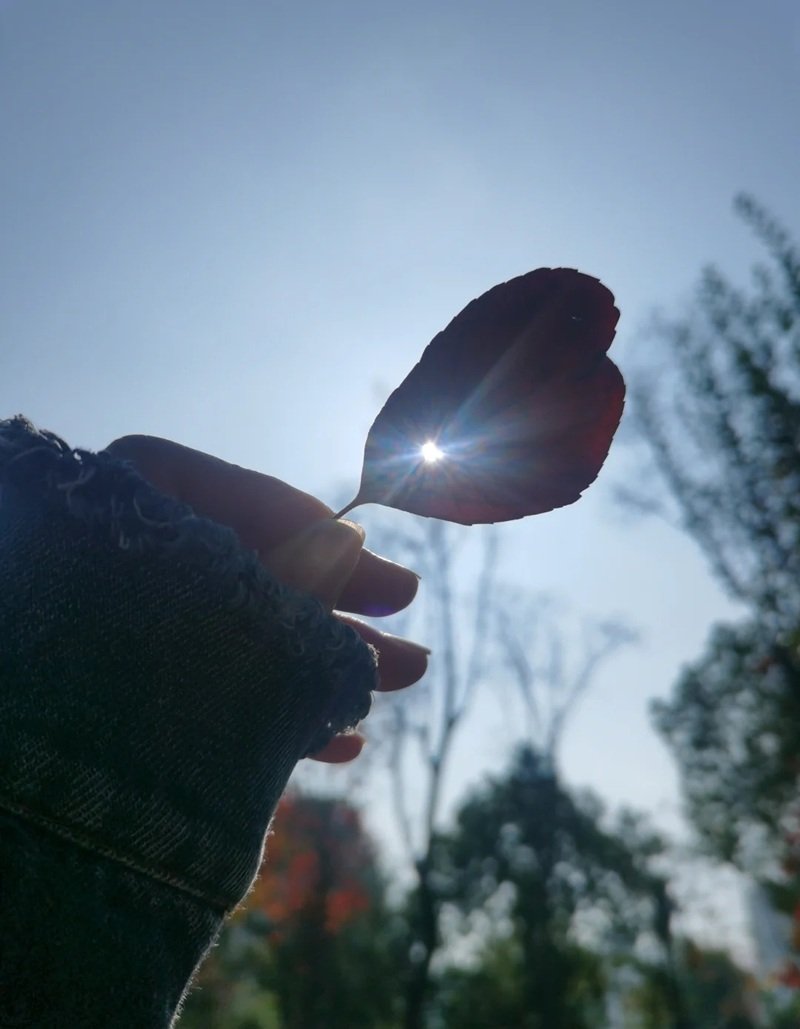 ảnh tâm trạng chill 16