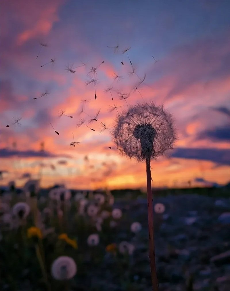 ảnh tâm trạng chill 25