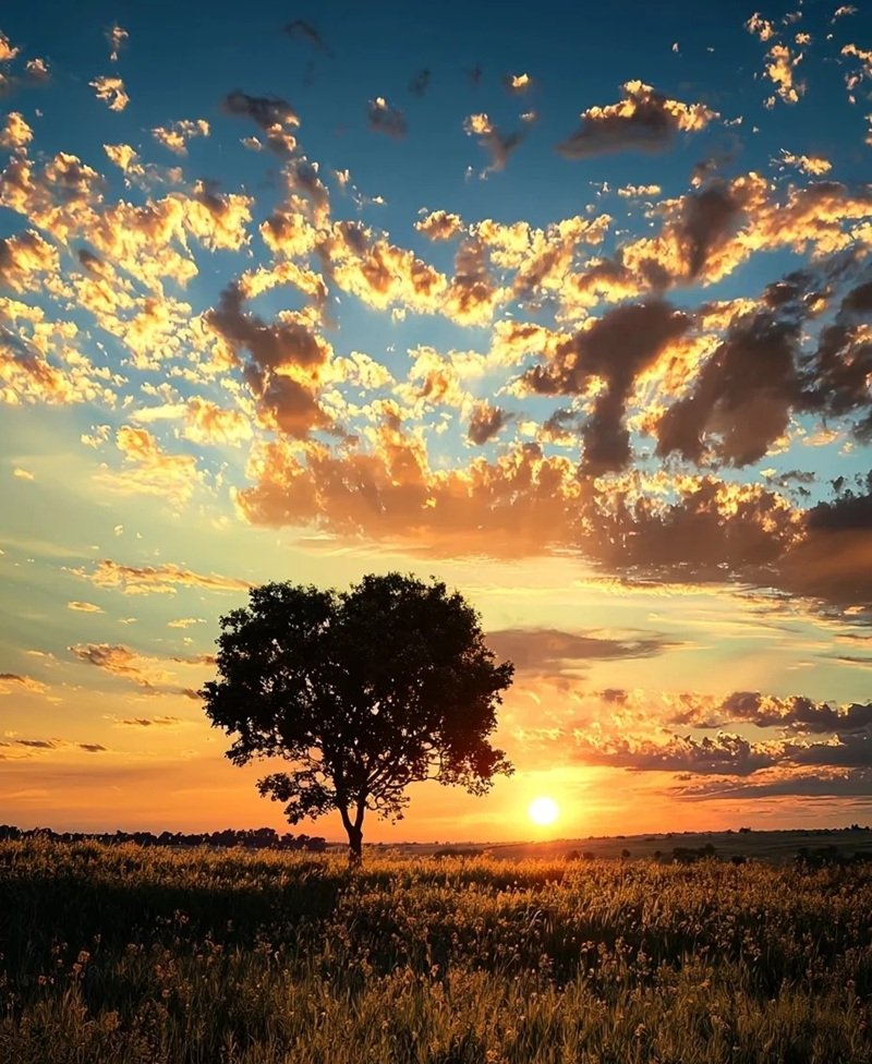 ảnh tâm trạng chill 28