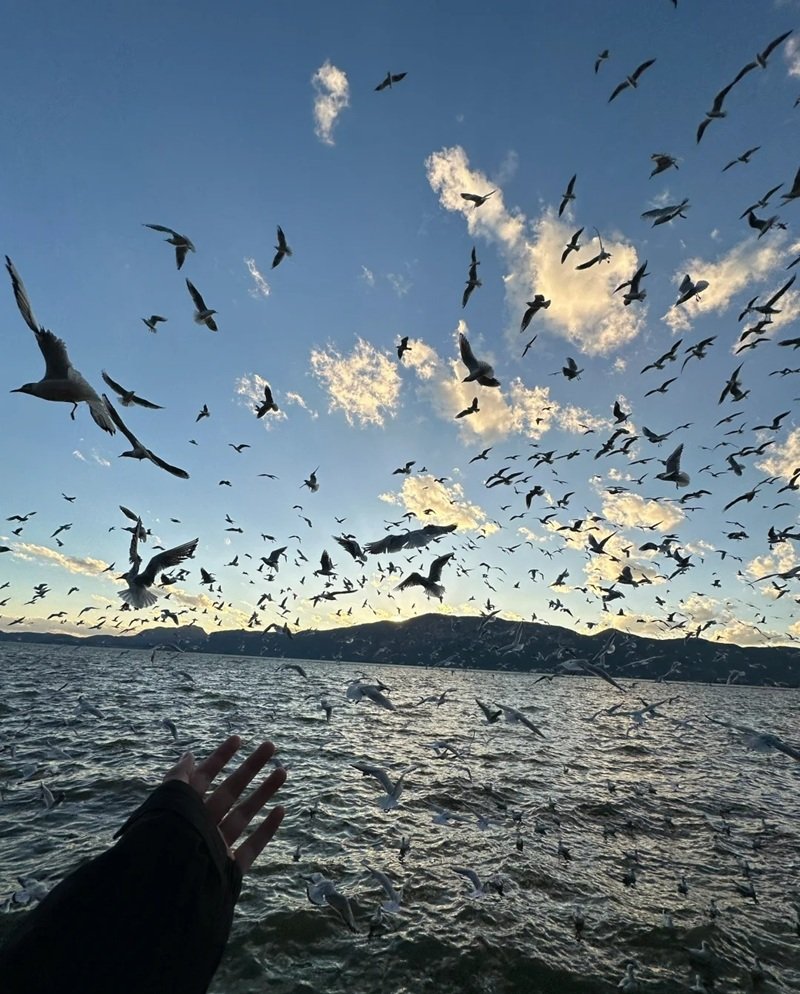 ảnh tâm trạng chill 3