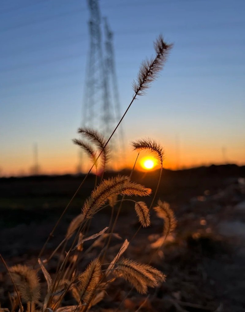 ảnh tâm trạng chill 34