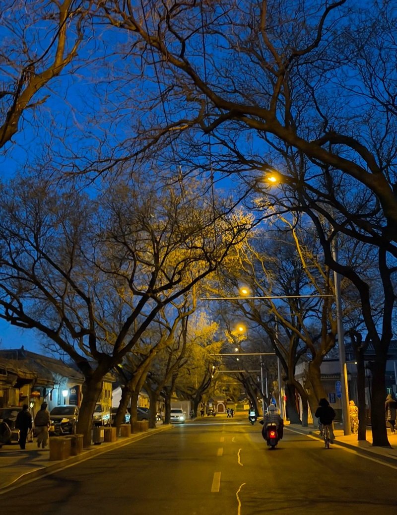 ảnh thành phố về đêm 6