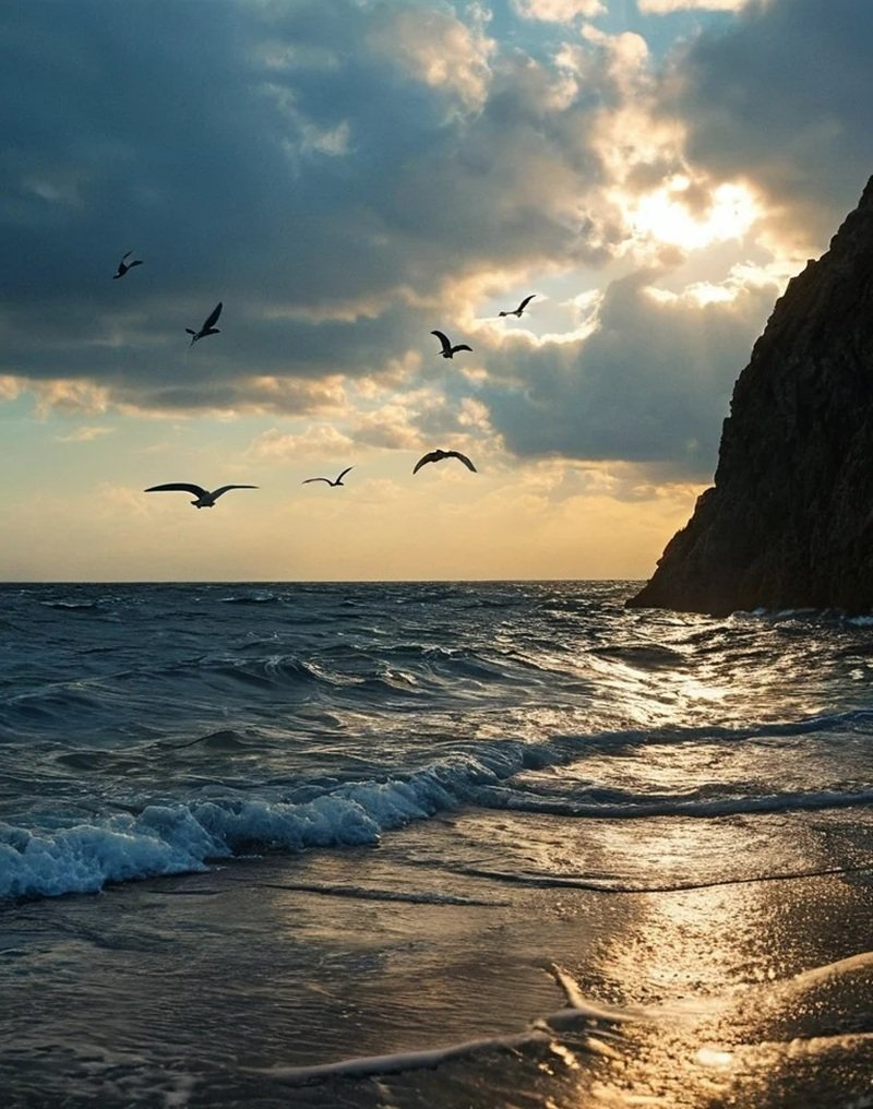 ảnh thiên nhiên buồn 16