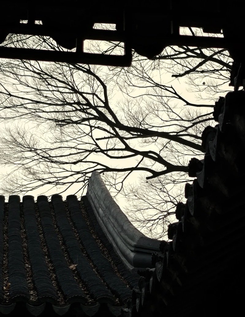 ảnh thiên nhiên buồn 21