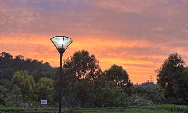 ảnh thiên nhiên buồn 35