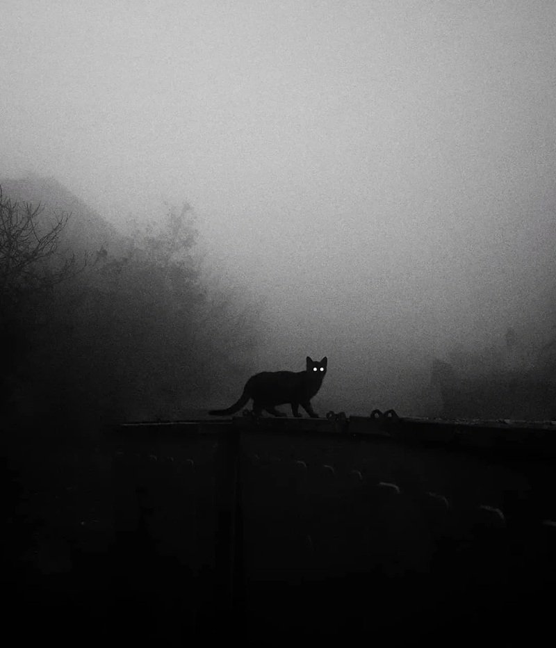 bức ảnh buồn nhất 19