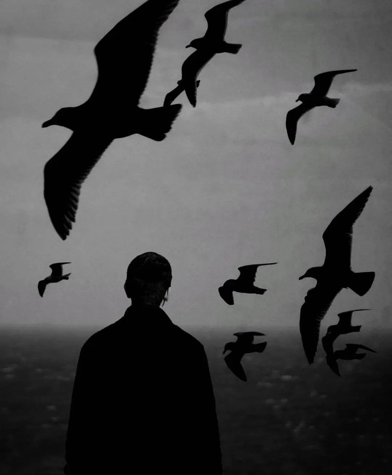 bức ảnh buồn nhất 21