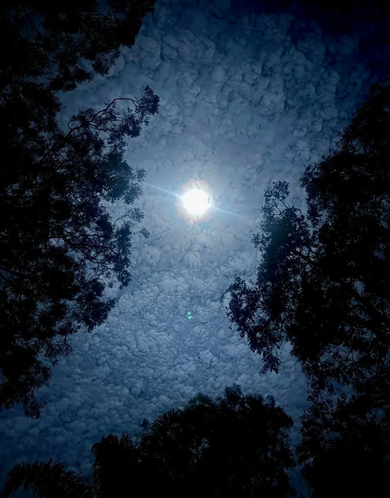 cảnh buồn tâm trạng 6