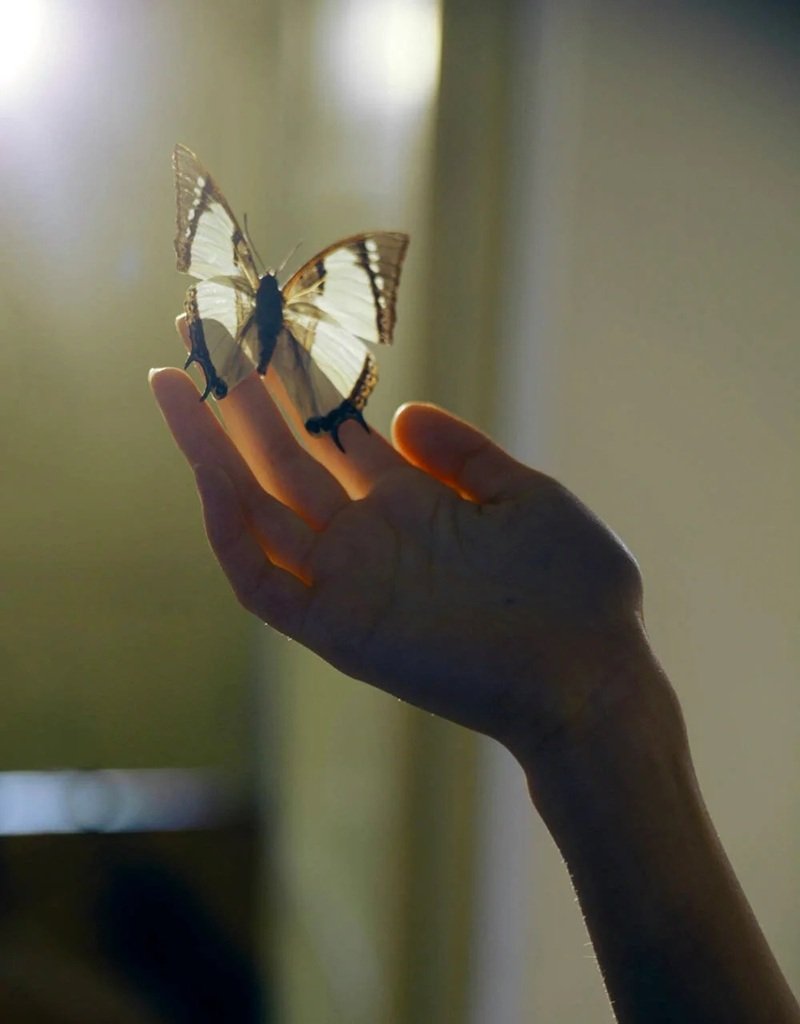 hình ảnh buông bỏ đẹp 1