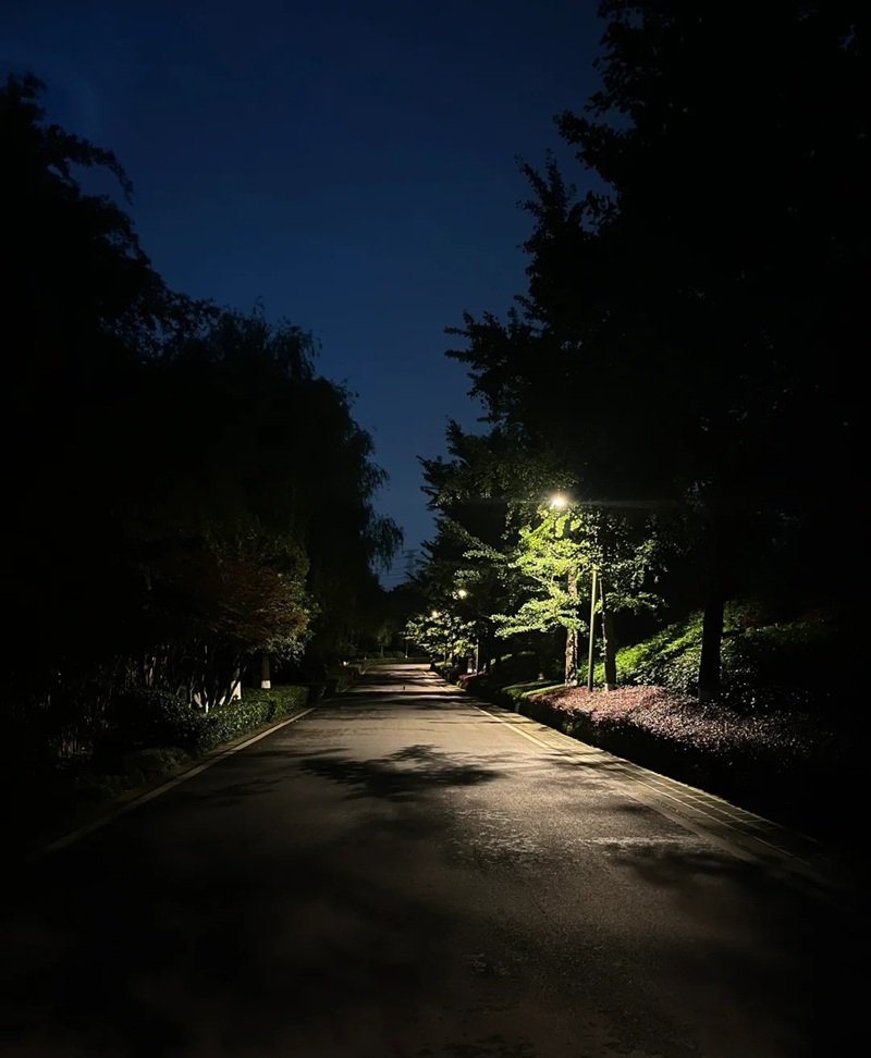 hình ảnh chill đường phố về đêm 14