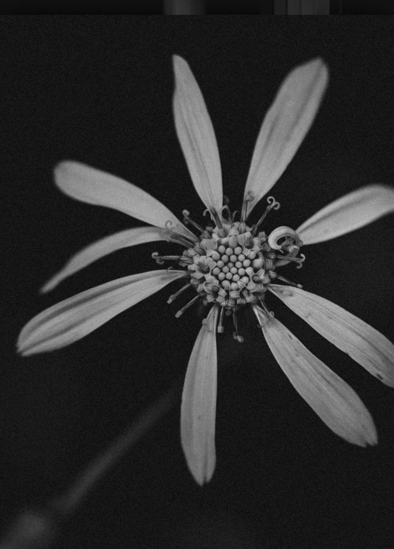 hình ảnh đen buồn 10