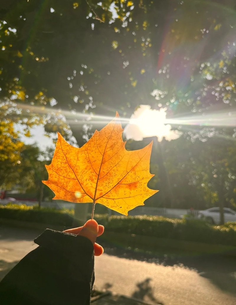 hình ảnh tâm trạng 1