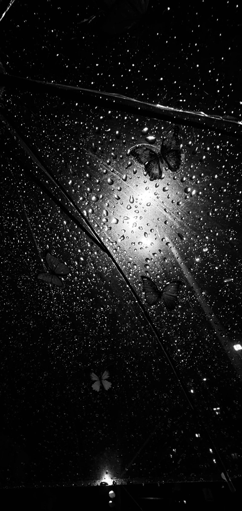 hình nền buồn 23