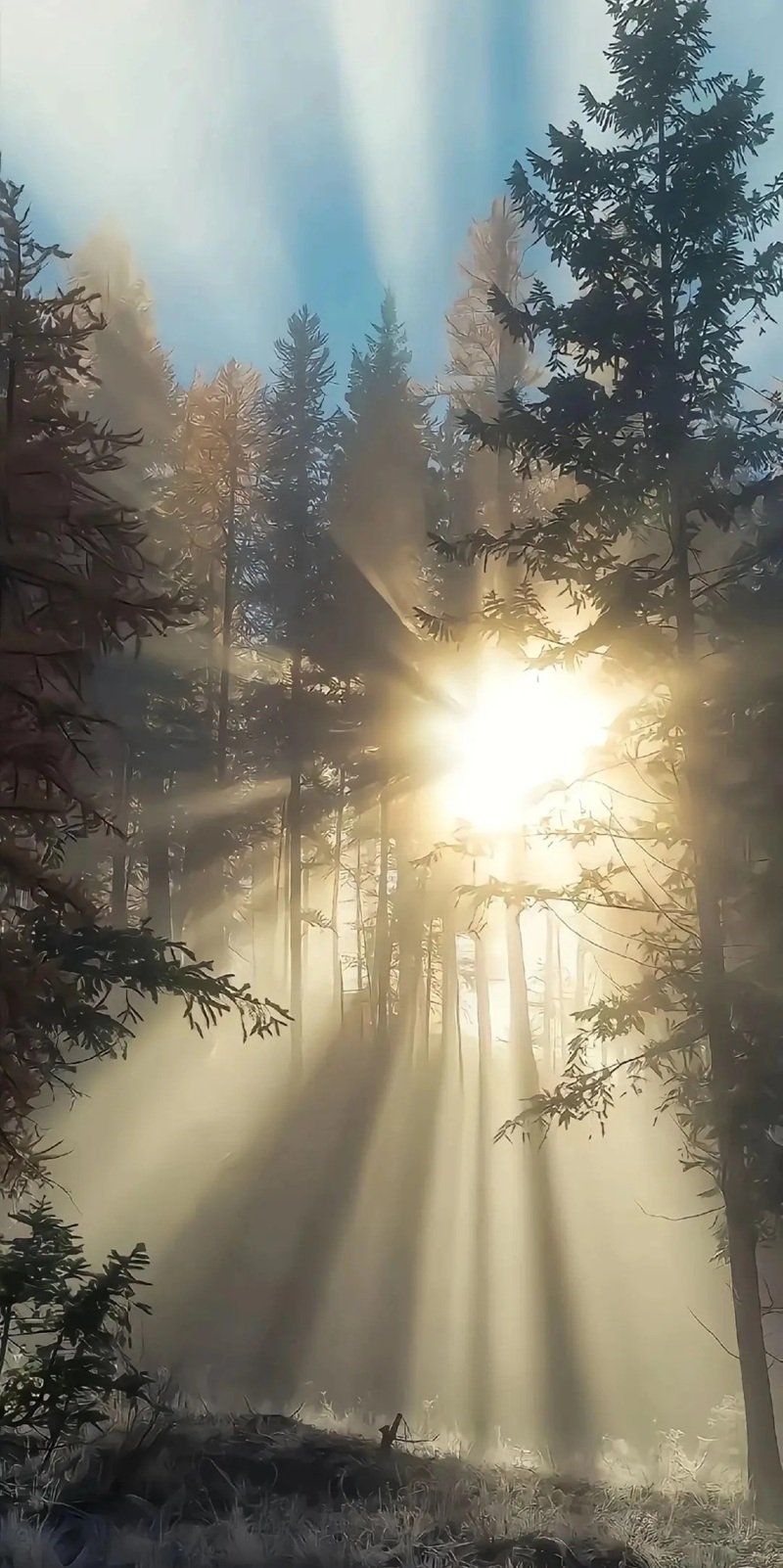 hình nền buồn 7