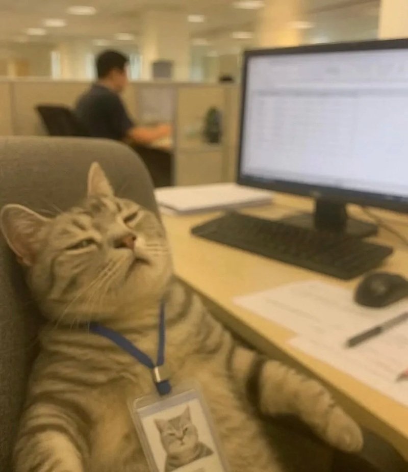 hình ảnh mệt mỏi đáng yêu 19