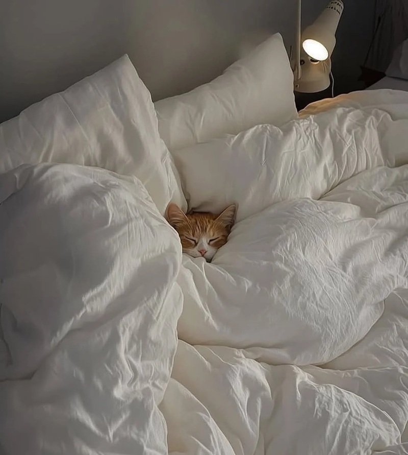 hình ảnh mệt mỏi đáng yêu 21