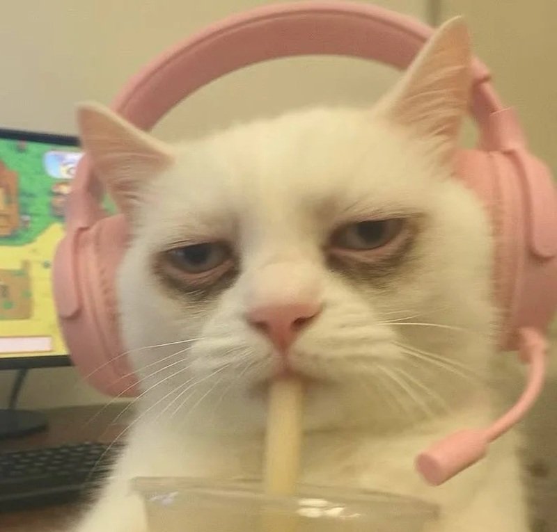 hình ảnh mệt mỏi đáng yêu 26