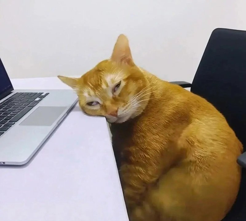 hình ảnh mệt mỏi đáng yêu 6