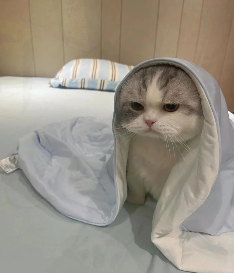 hình ảnh mệt mỏi đáng yêu 8