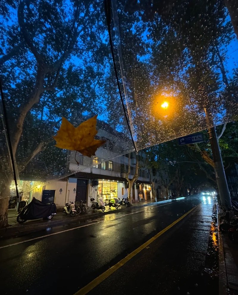 hình ảnh mưa buồn trên phố 31