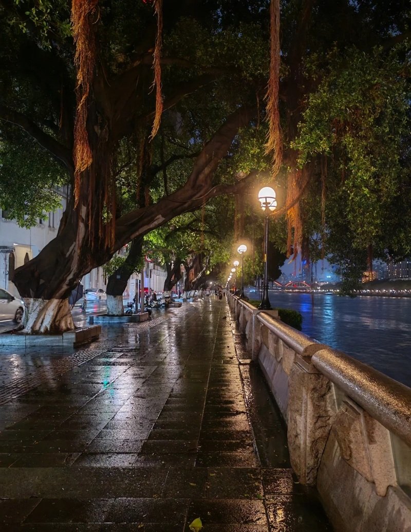 hình ảnh mưa buồn trên phố 37