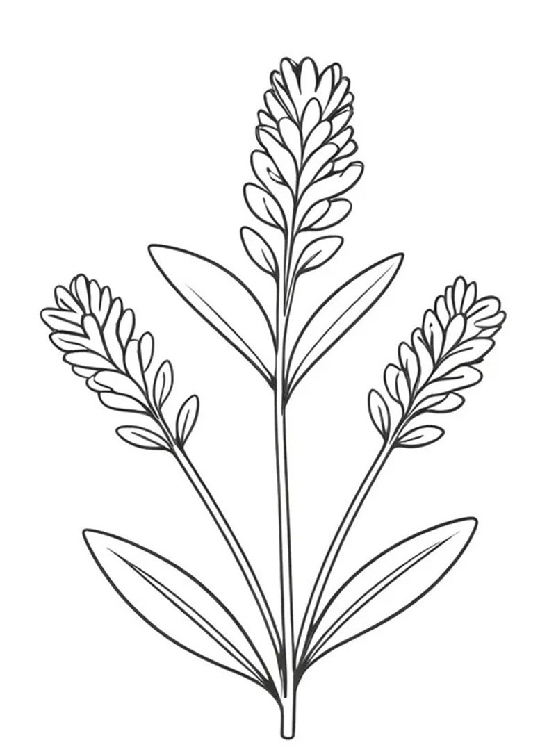 tranh tô màu bông hoa 10