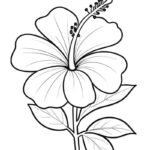 tranh tô màu bông hoa 11