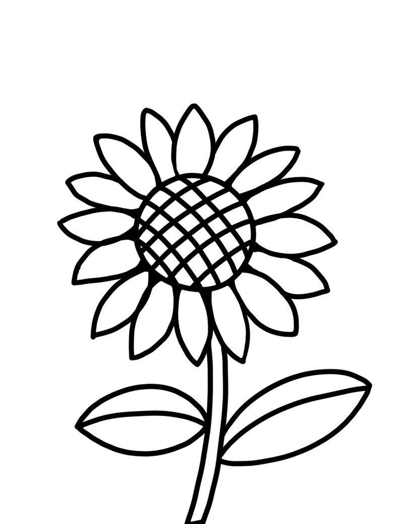 tranh tô màu bông hoa 15