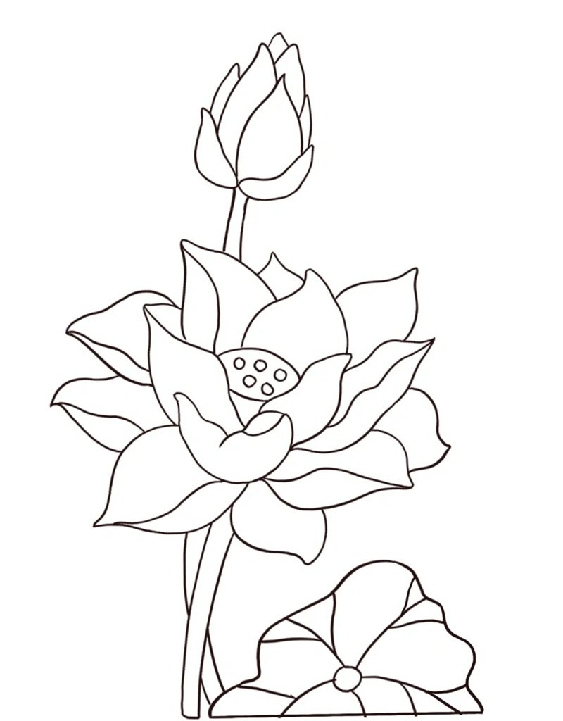 tranh tô màu bông hoa 23