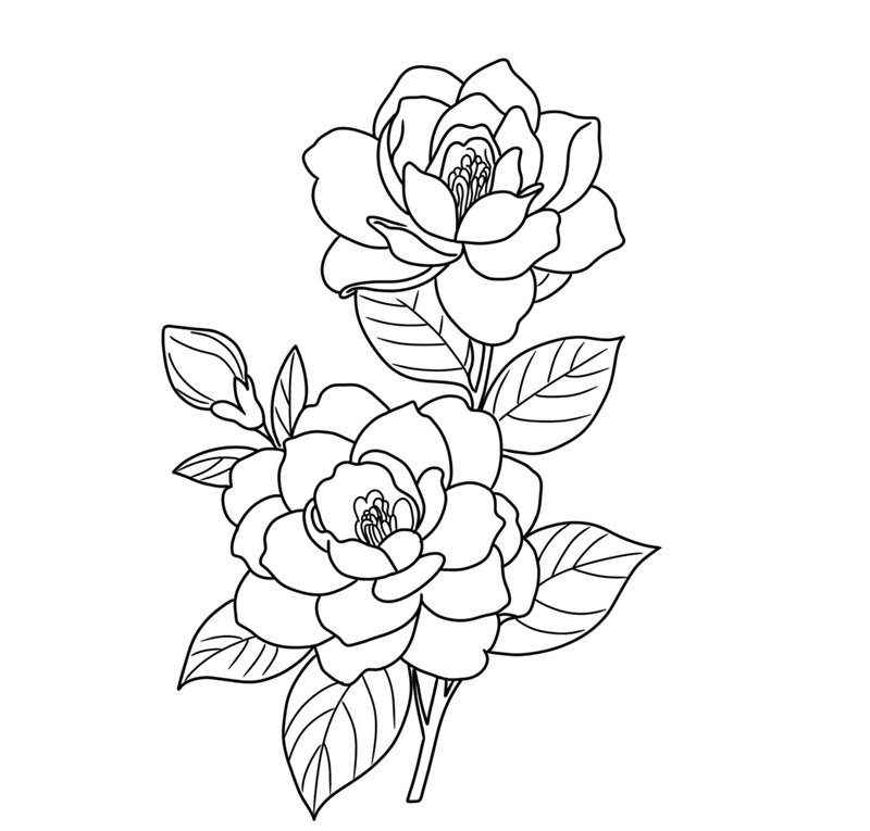 tranh tô màu bông hoa 26