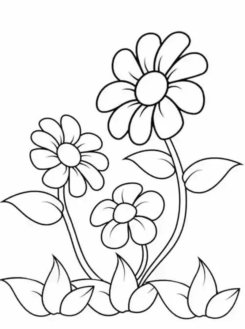 tranh tô màu bông hoa 27