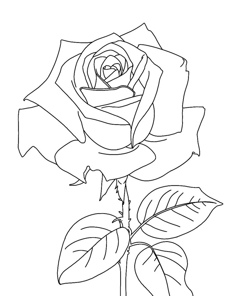 tranh tô màu bông hoa 30