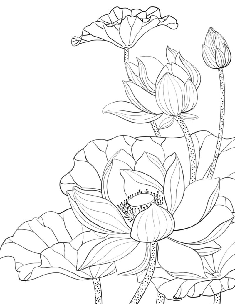 tranh tô màu bông hoa 31