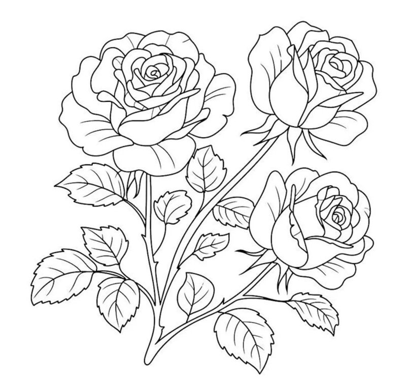 tranh tô màu bông hoa 4