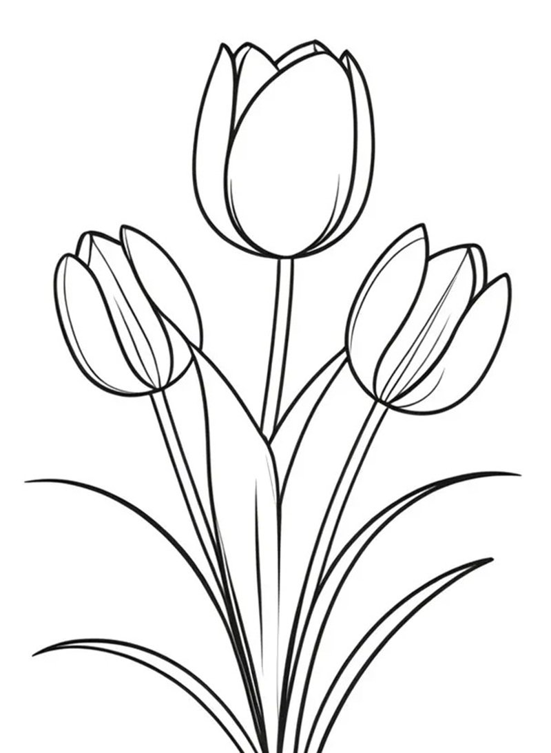 tranh tô màu bông hoa 8