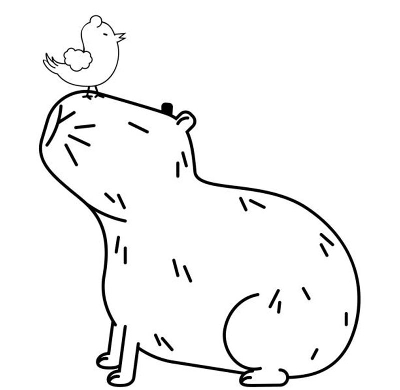 Cute cartoon capybara with little bird in line art style illustration.