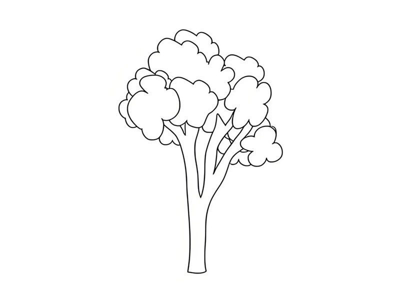 tranh tô màu cây xanh 19