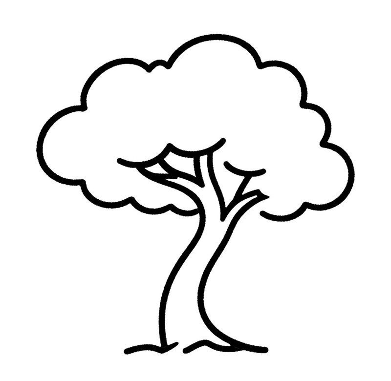 tranh tô màu cây xanh 23