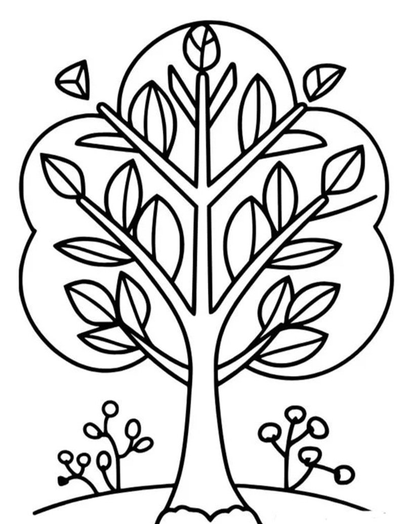 tranh tô màu cây xanh 30