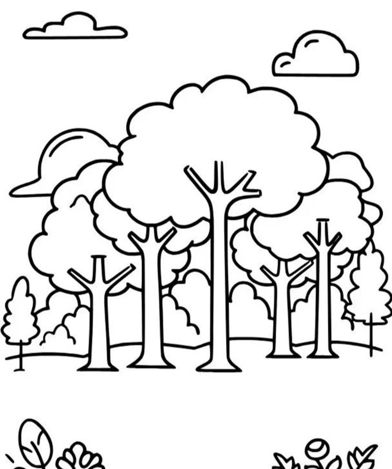 tranh tô màu cây xanh 32