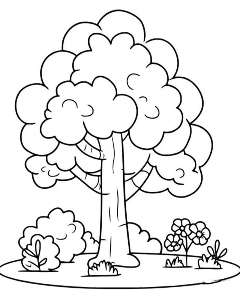 tranh tô màu cây xanh 33
